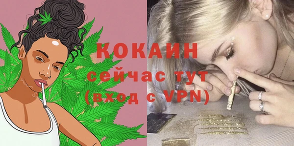 спайс Алексин