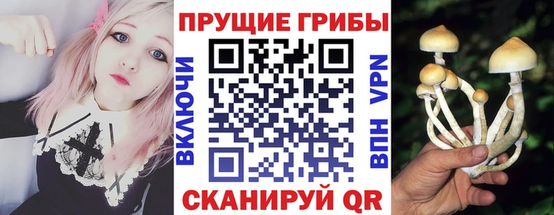 Псилоцибиновые грибы мухоморы  Искитим 